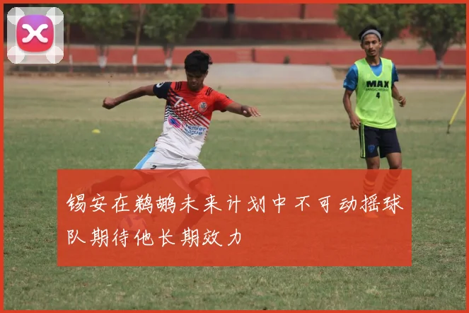 锡安在鹈鹕未来计划中不可动摇球队期待他长期效力
