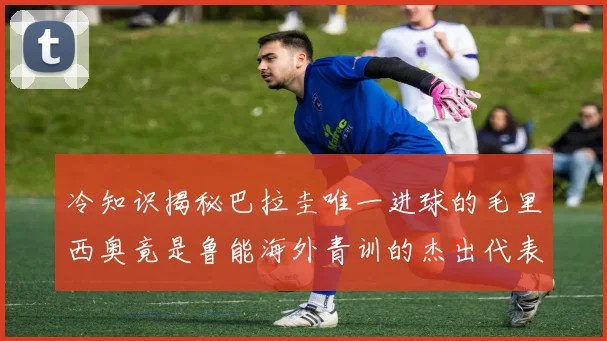 冷知识揭秘巴拉圭唯一进球的毛里西奥竟是鲁能海外青训的杰出代表